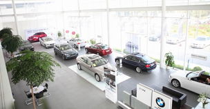 江門市合寶汽車銷售服務 專業與品質并行的汽車銷售典范